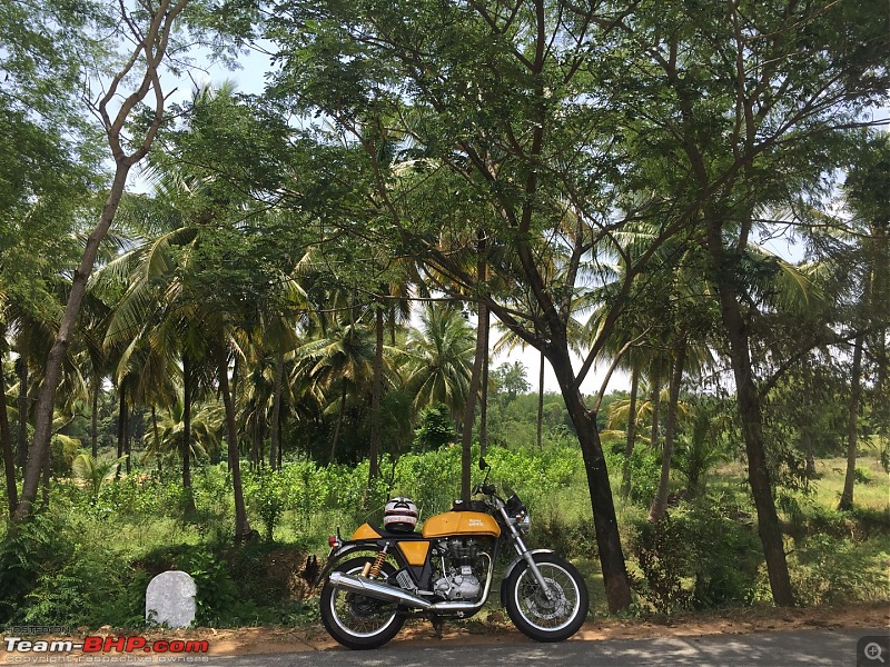 Royal Enfield Continental GT 535 : Ownership Review (32,000 km and 9 years)-img_1681-large.jpg