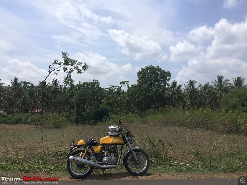 Royal Enfield Continental GT 535 : Ownership Review (32,000 km and 9 years)-img_1694-large.jpg