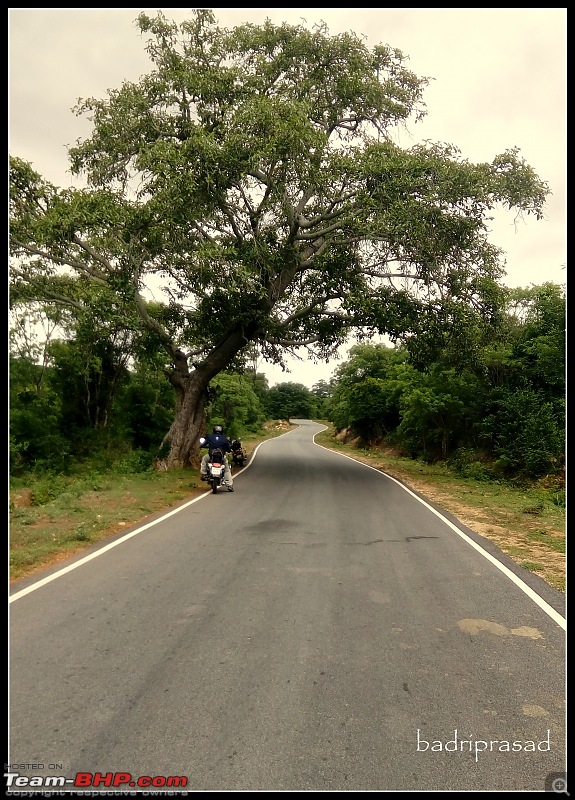 Bangalore - Sunday Morning Short Rides-img_20160625_135415.jpg
