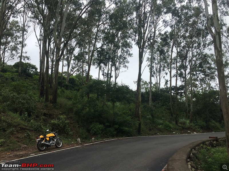 Royal Enfield Continental GT 535 : Ownership Review (32,000 km and 9 years)-img_6700-large.jpg