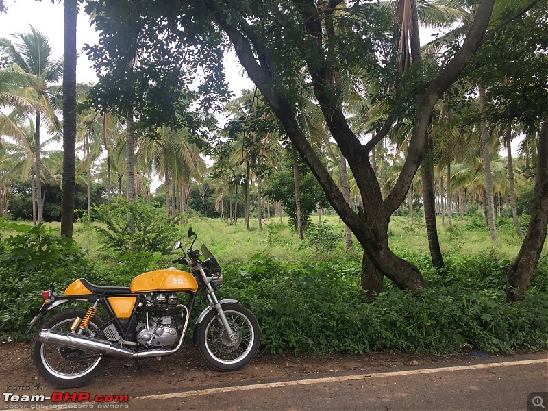 Royal Enfield Continental GT 535 : Ownership Review (32,000 km and 9 years)-img_6677-large.jpg