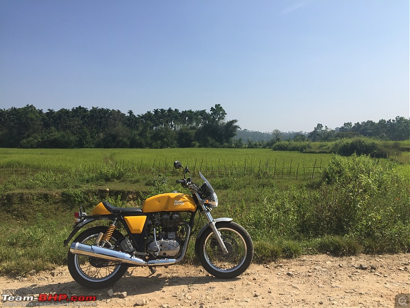 Royal Enfield Continental GT 535 : Ownership Review (32,000 km and 9 years)-img7976.jpg