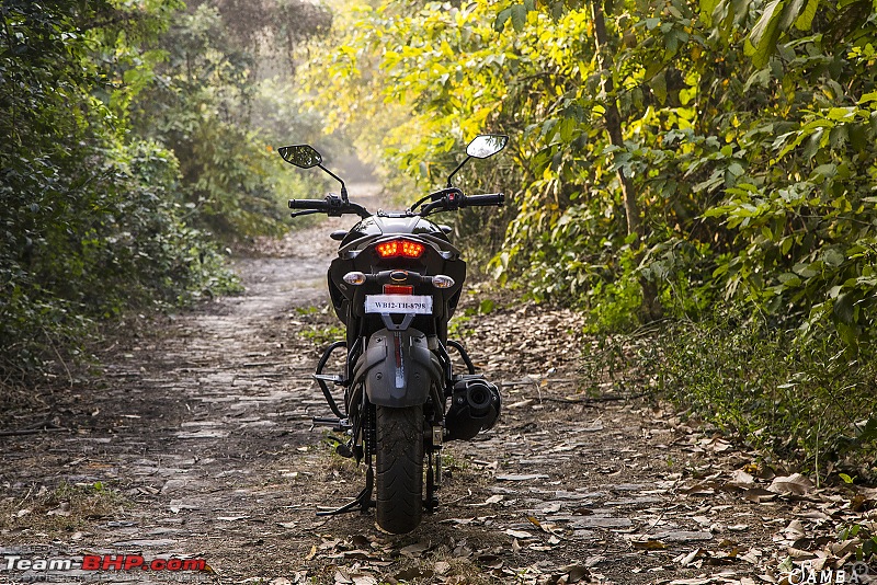 Yamaha FZ25 : An Owner's Point of View-rear-1.jpg