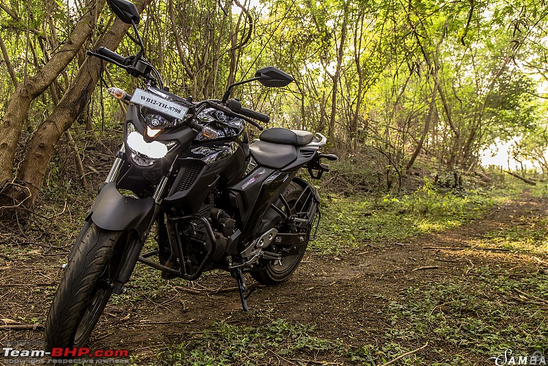 Yamaha FZ25 : An Owner's Point of View-3-quater-view-4.jpg