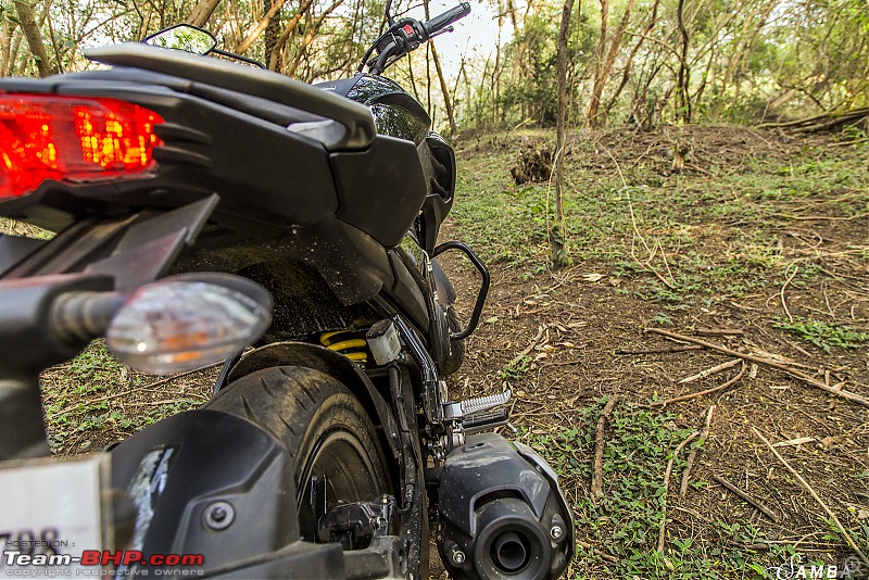 Yamaha FZ25 : An Owner's Point of View-mono-shock.jpg