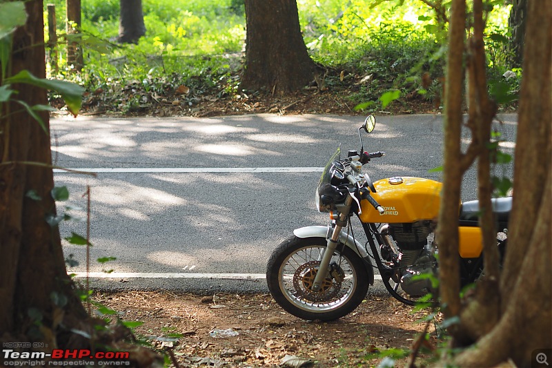 Royal Enfield Continental GT 535 : Ownership Review (32,000 km and 9 years)-pc014526.jpg