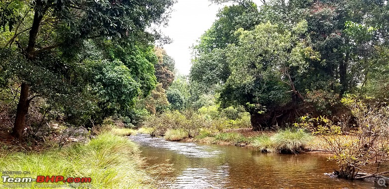 Trails of a Biker : Ride across Udupi and Chikkamagaluru on an Enfield Classic 350-20210104_140259.jpg