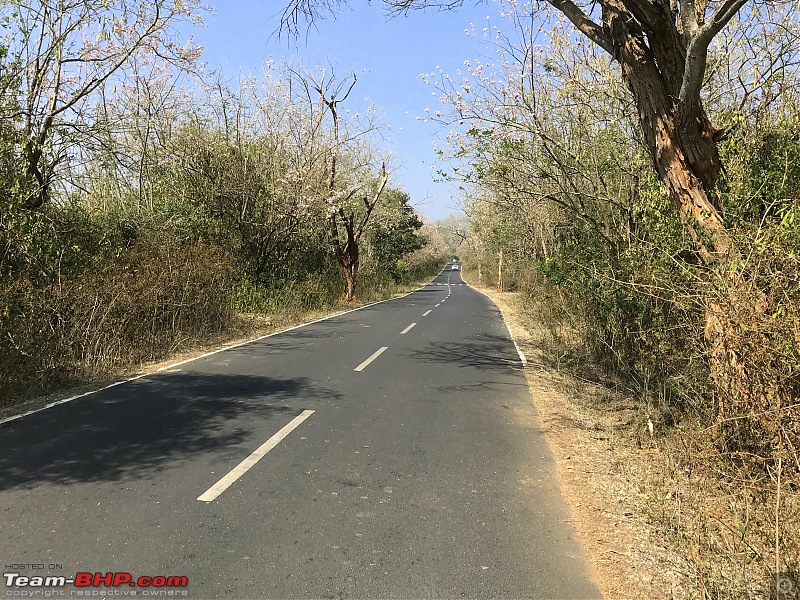 Swiss Army Knife on two-wheels : My 2019 Royal Enfield Interceptor 650. EDIT: Sold and upgraded-img_2836.jpg