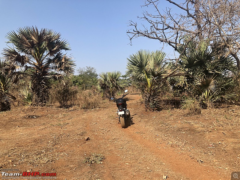 Honda CB300R Review - A life changing experience!-img_6584.jpg