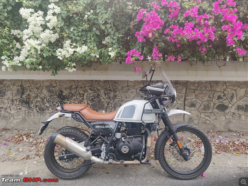 The 1st-gen Royal Enfield Himalayan thread!-2.jpg