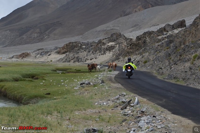 A dream realized | Ride to Leh on a CBR 250R-23.jpg