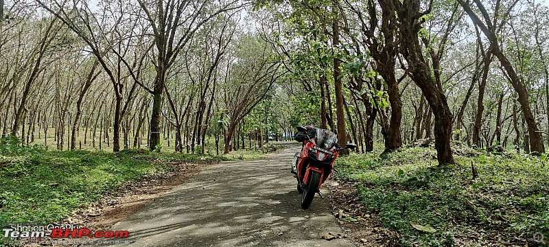 Fury in all its glory | My TVS Apache RR310 Ownership Review | EDIT: 6 years and 43,500 kms up!-img_20220814_150935.jpg