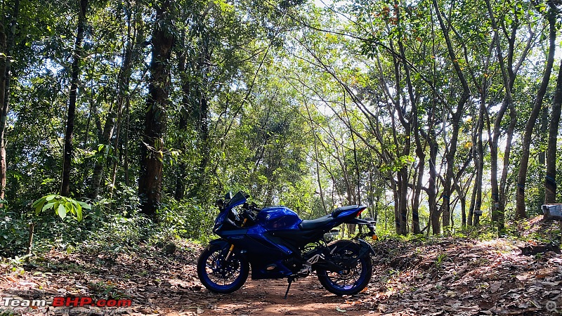 Yamaha R15 v4 Review | Booking, Delivery & Ownership Report-sideview.jpg