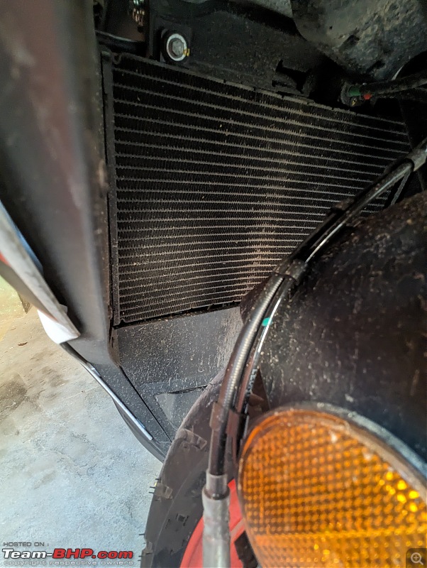 Aprilia RS 457 Ownership Thread-aprilia-radiator.jpg