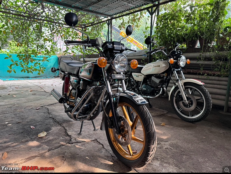 My Legendary Yamahas | RZ 350 and RD 250 Daytona Special-img_0790.jpeg