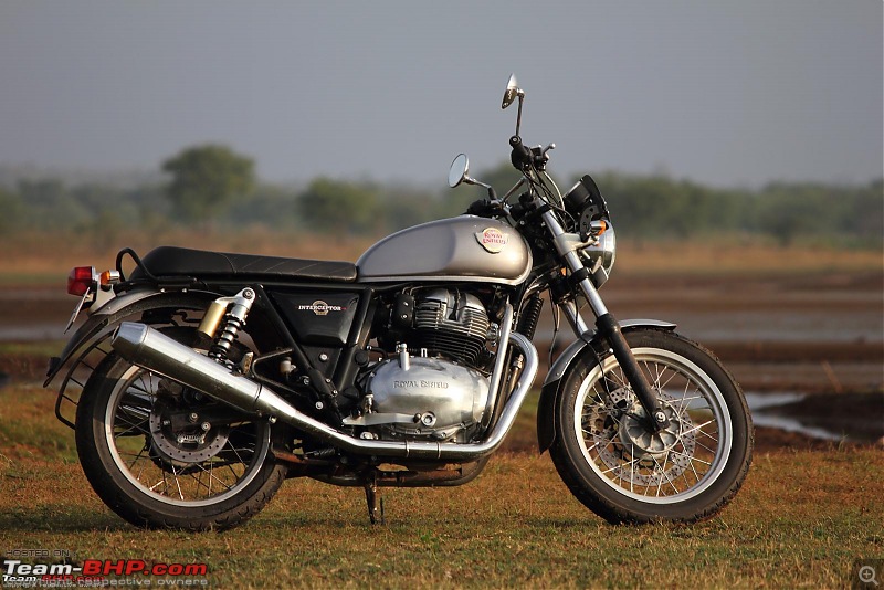 BSA Gold Star 650 vs Rivals | Which 650 cc motorcycle would you pick?-re-interceptor-650.jpg