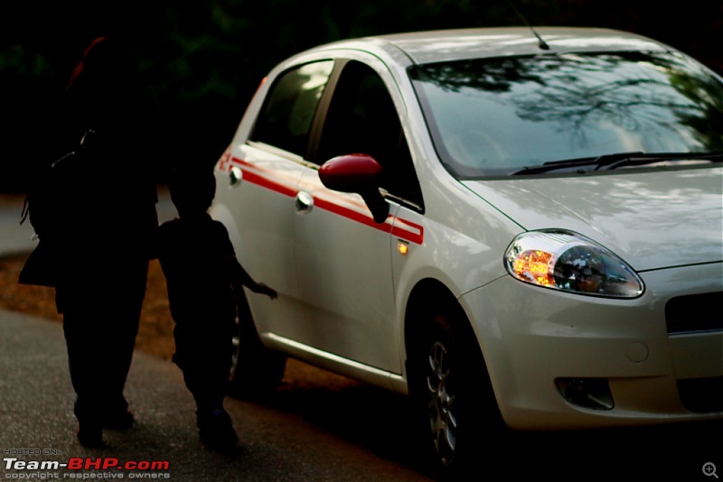 Fiat Grande Punto : Test Drive & Review-punto5.jpg