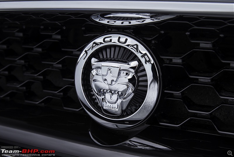 Jaguar F-Type : Driven-jaguarupahead.jpg