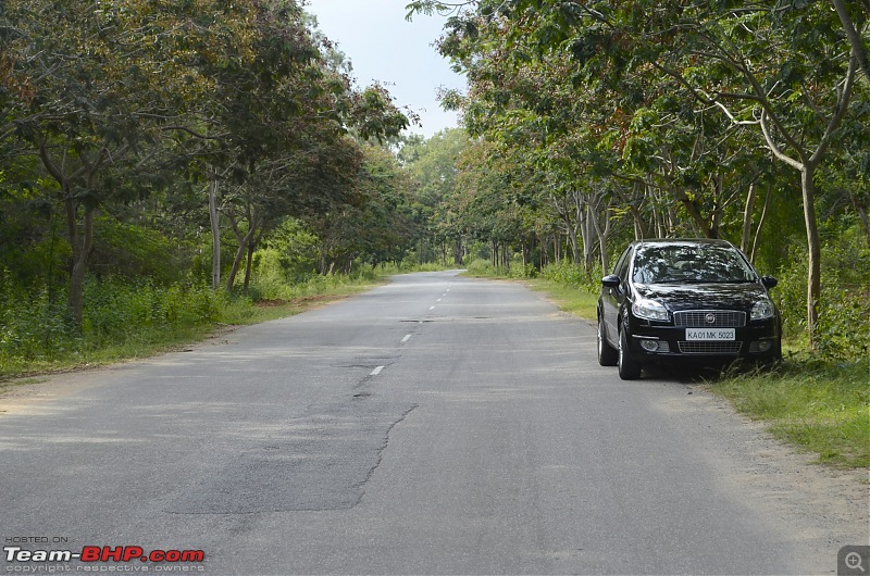 Fiat Linea T-Jet : Test Drive & Review-_dsc0027.jpg