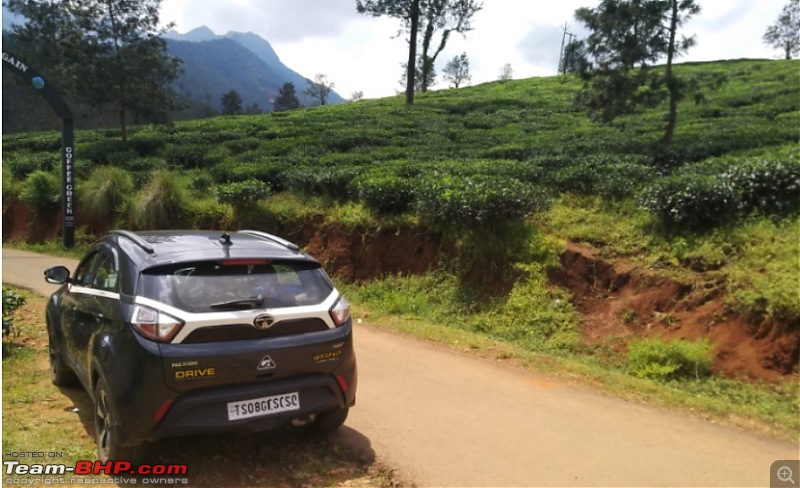 Tata Nexon : Official Review-car-back.jpg