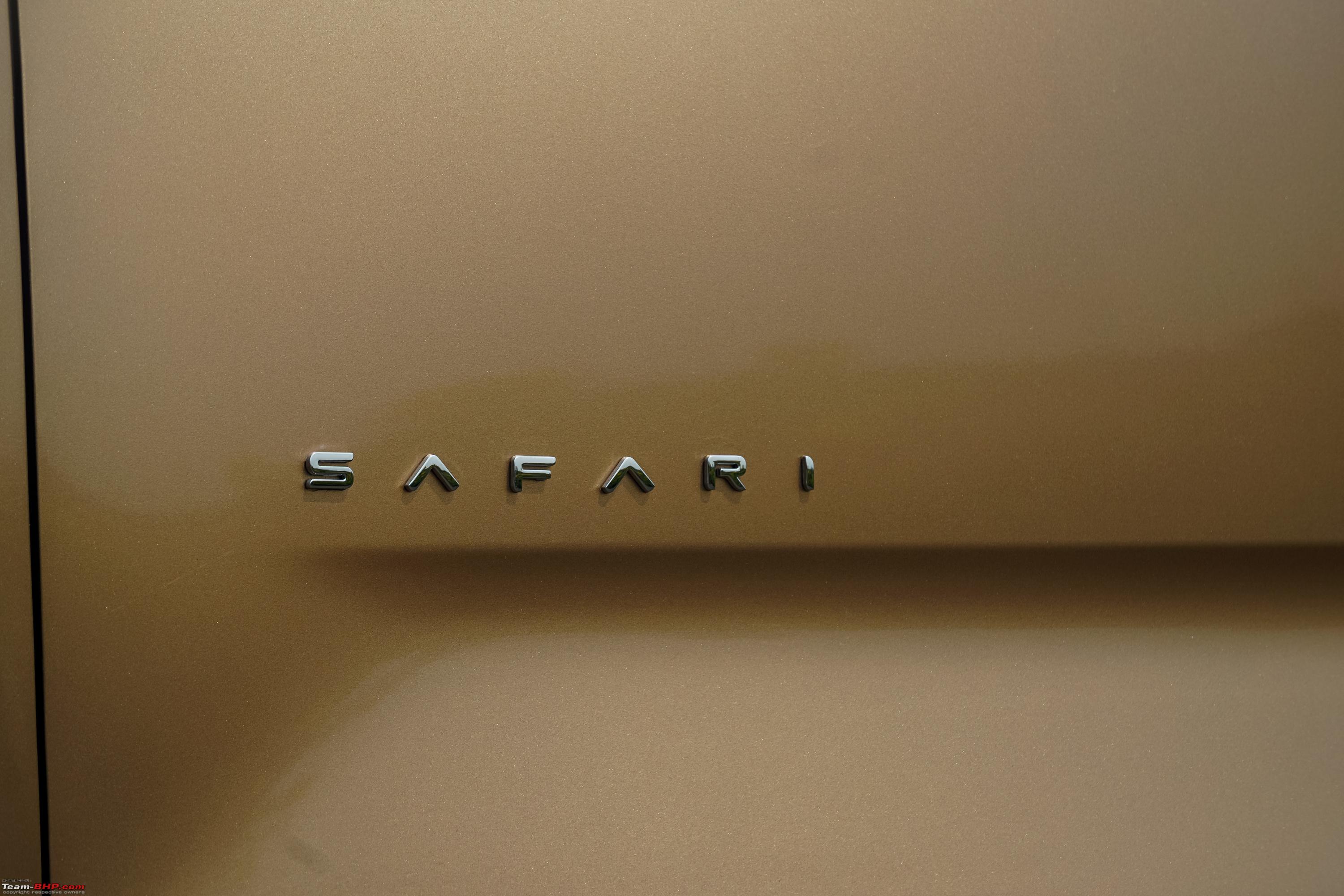 Safari Car Wash | Escondido CA