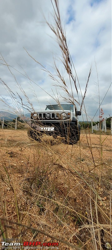 Maruti Jimny Review-jimnynandigrass.jpg