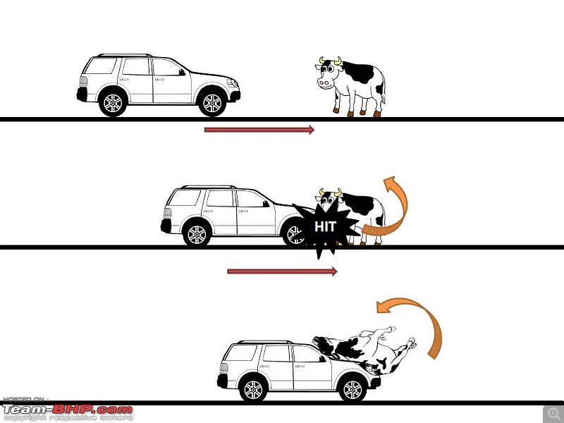 Cattle - The real menace on Indian highways-scenario2.jpg