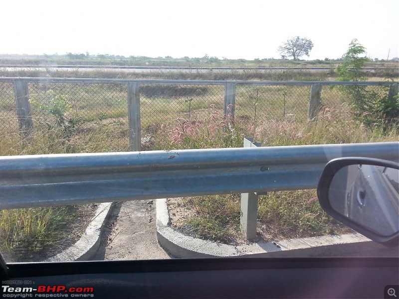 Cattle - The real menace on Indian highways-20131112_083649.jpg