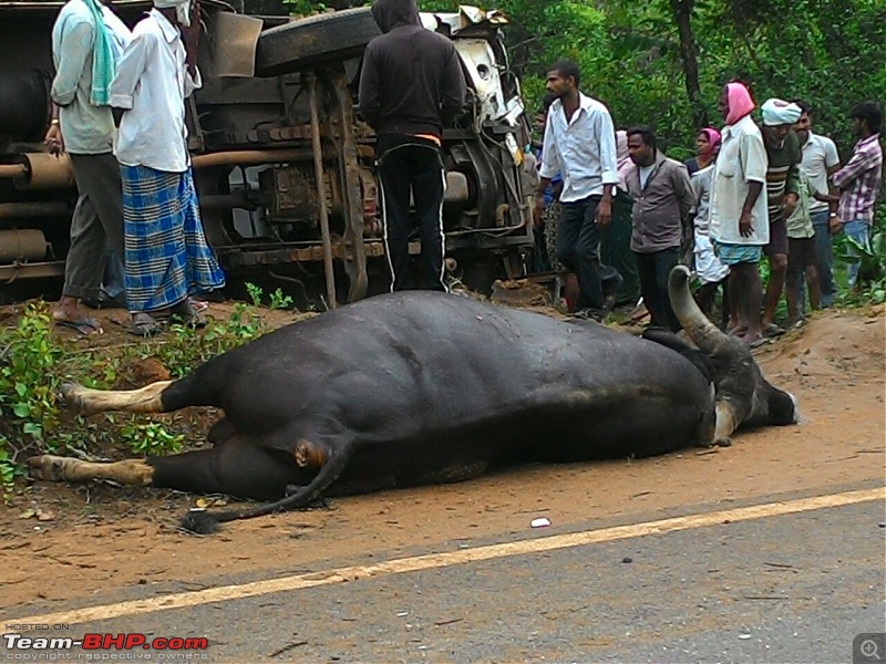 Accidents in India | Pics & Videos-gaur.jpg