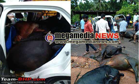 Accidents in India | Pics & Videos-img20190612wa0022.jpg