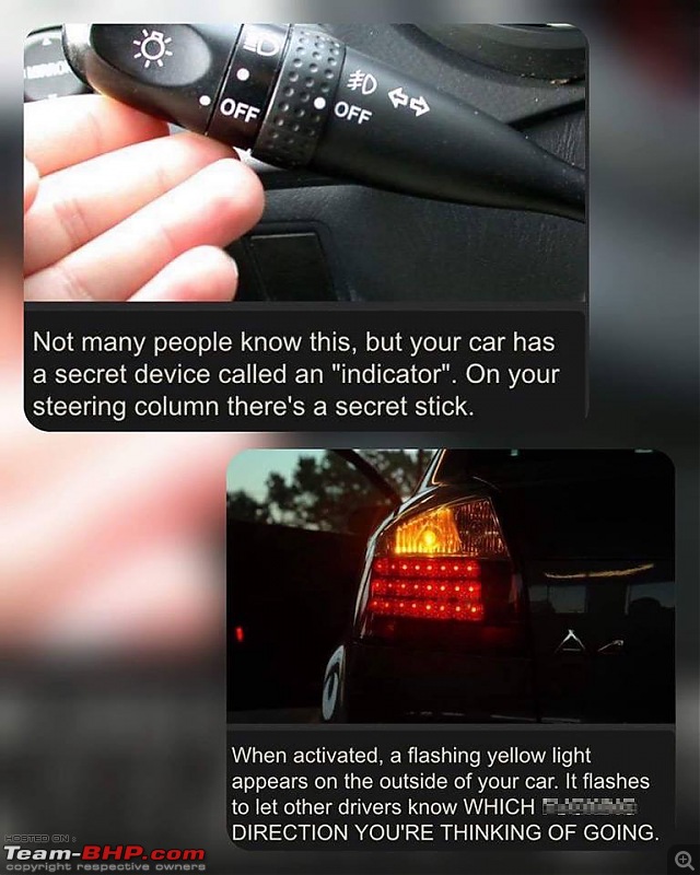 Communication while driving | "Talk" to other road users | Why? And how to do it?-indicator.jpg