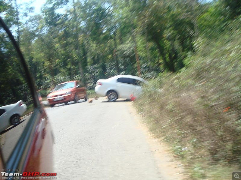 Accidents in India | Pics & Videos-pic2.jpg