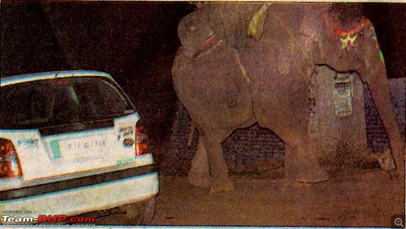 Accidents in India | Pics & Videos-elephant1k80.jpg