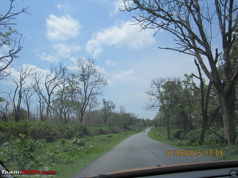 All Roads to Kerala-img_0290.jpg