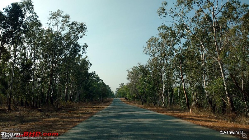 Driving between Bangalore and Mysore-r2.jpg