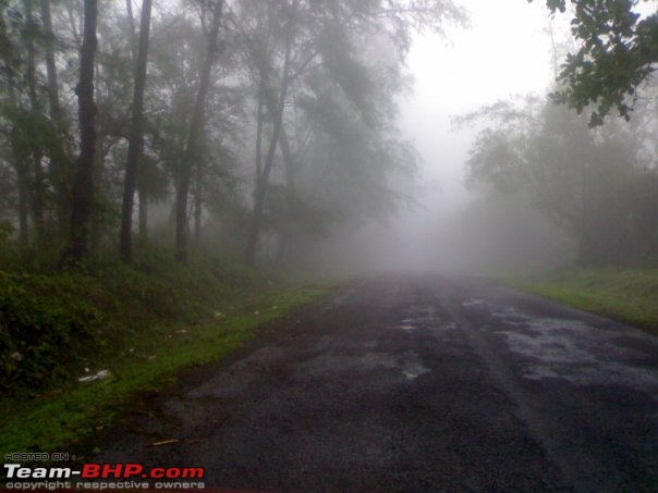 The art of travelling between Bangalore - Mangalore/Udupi-fog1.jpg