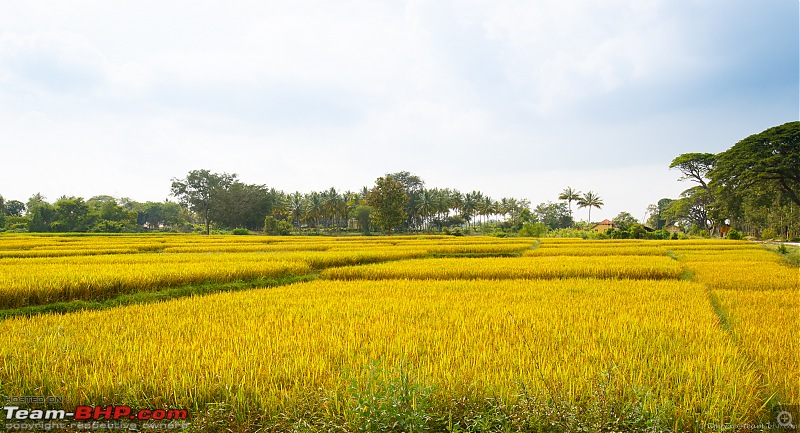 Cool Drives within 150 km from Bangalore-can_7dii_2017_11_01_0820_lr_lr.jpg