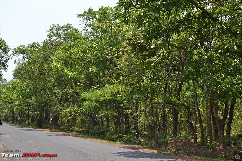 Goa Route Queries-dsc_0288.jpg