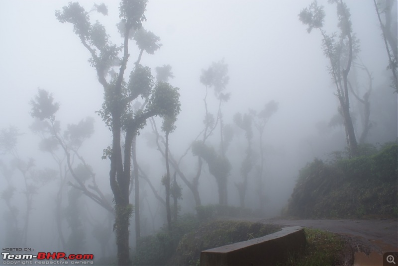 Monsoon is here, why not drive to Malnad?-dsc05632.jpg