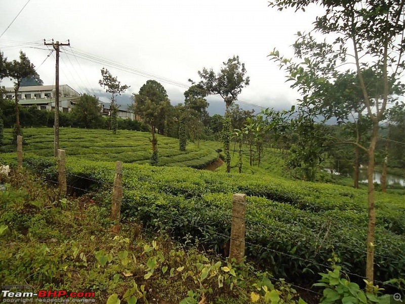 Bangalore - Calicut : Route Queries-slide12.jpg