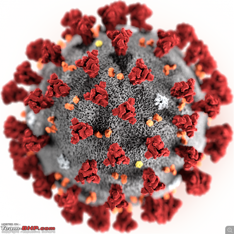 The Coronavirus Thread-2019ncovcdc23312.png