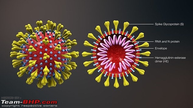 The Coronavirus Thread-cv4.jpg
