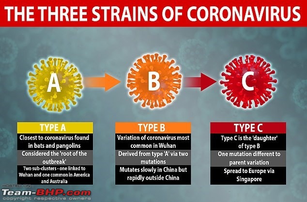 The Coronavirus Thread-cv2.jpg