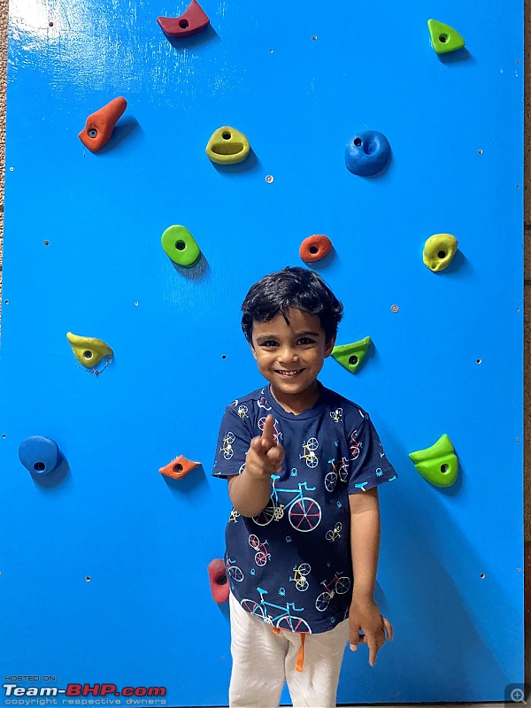 DIY: Rock Climbing Wall for kids-img_8986.jpg