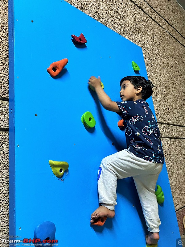 DIY: Rock Climbing Wall for kids-img_8997.jpg