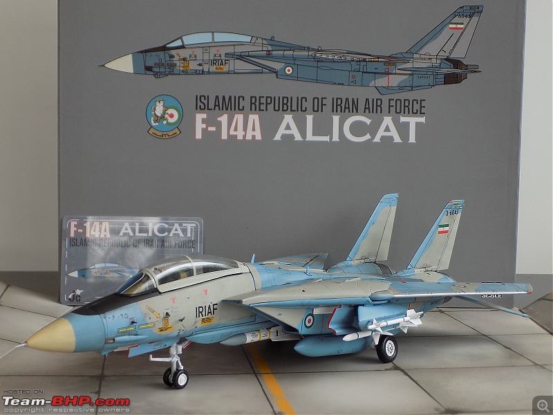 Scale Models - Aircraft, Battle Tanks & Ships-f14_6.jpg