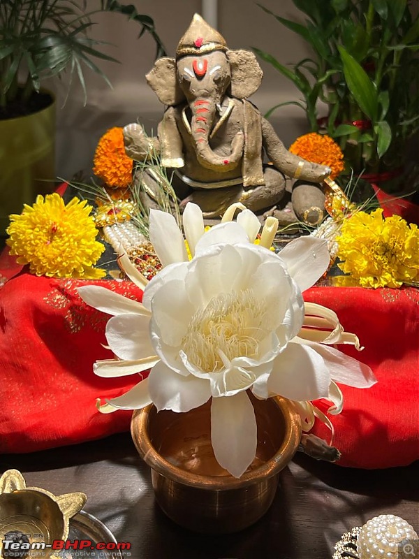 Pictures of Ganpati Bappa at your home-whatsapp-image-20220831-10.54.30-pm.jpeg