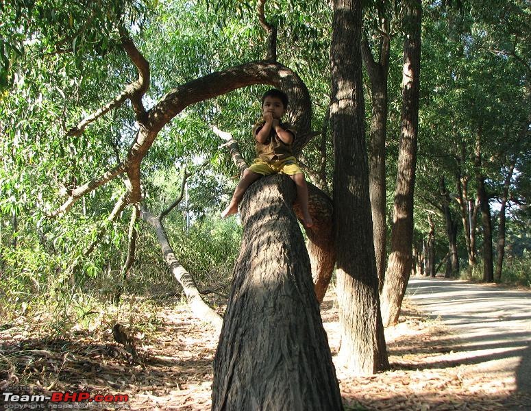 Forest near my Apartment-picture-091.jpg