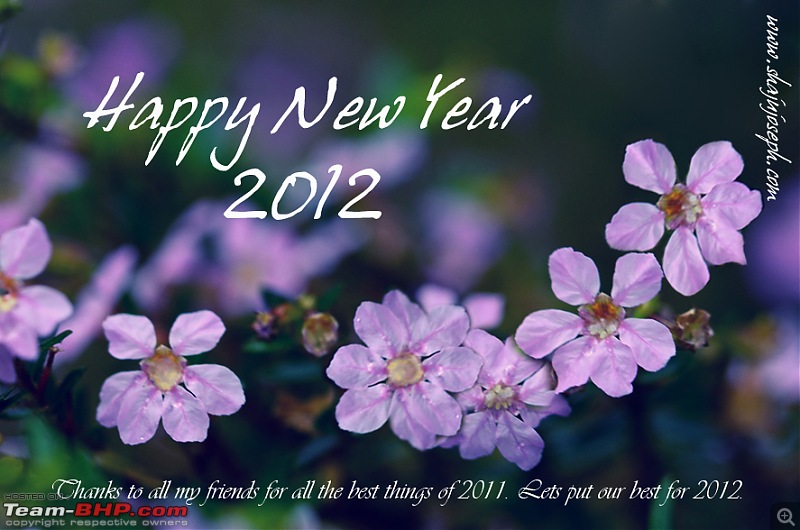 Happy New Year 2012!-ttnp.jpg