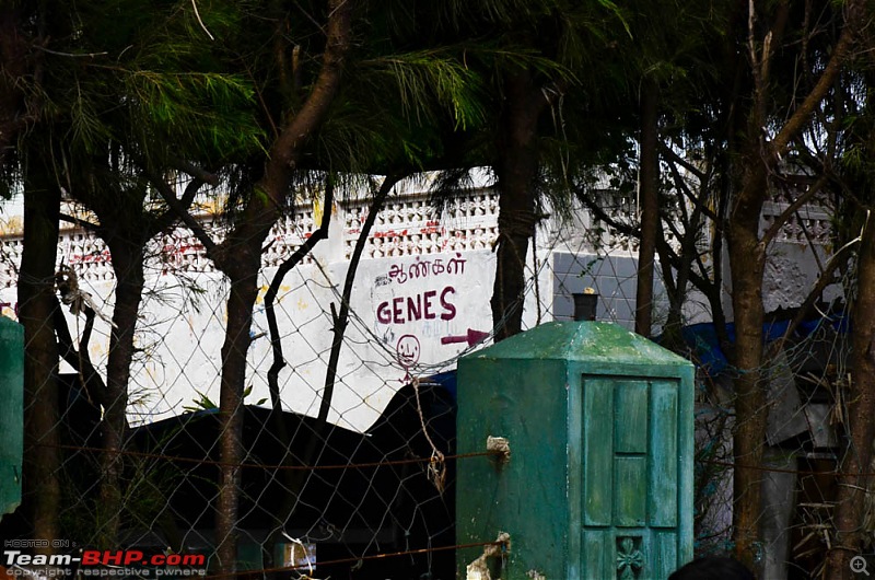 How do you stick a bell on a wall? Pics of Quirky signs, captions & boards-suh_1061.jpg